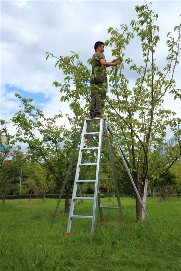 家用茄子视频懂你更多APP厂家.jpg